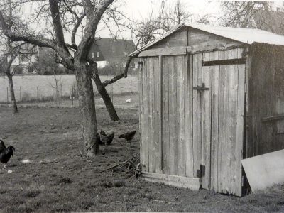 Laubhütte (Sukka) in einem Baisinger Garten, 1987 (Ulrich Hägele)